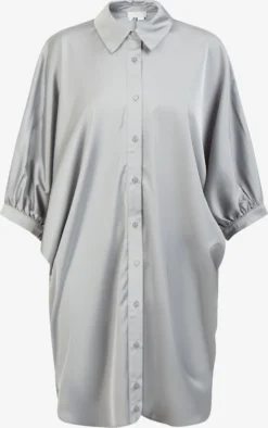 RISA Blouses Met Korte Mouw Blouse Dames Lichtgrijs